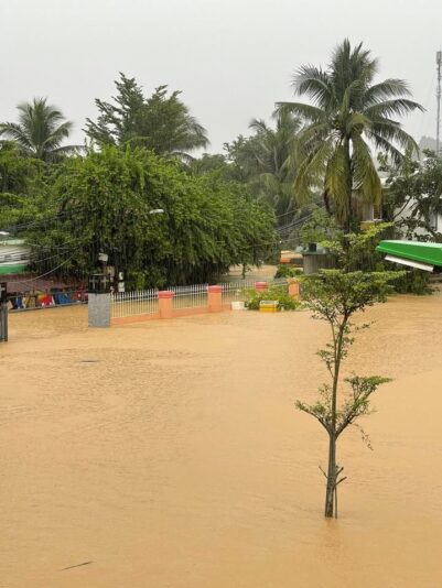 fb-122977574543611_1180232907547518