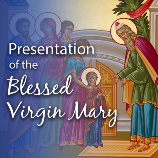 fb-198802963478511_1256623243161087