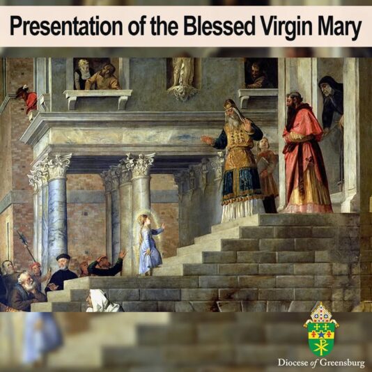 fb-178070992226049_1287498256746791