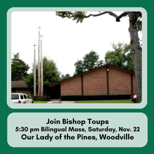 fb-147325878647167_1259743319524935