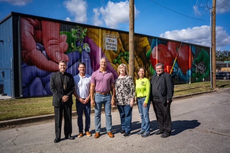 fb-147325878647167_1259364232896177