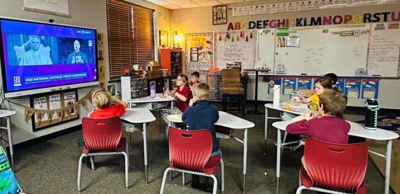 fb-355703527834405_1308807267956742