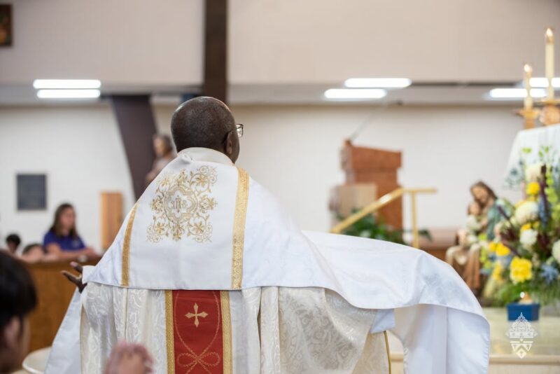 fb-695846880481318_830028089659288