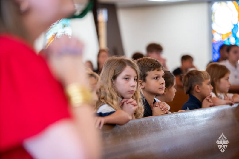 fb-695846880481318_830028089659288