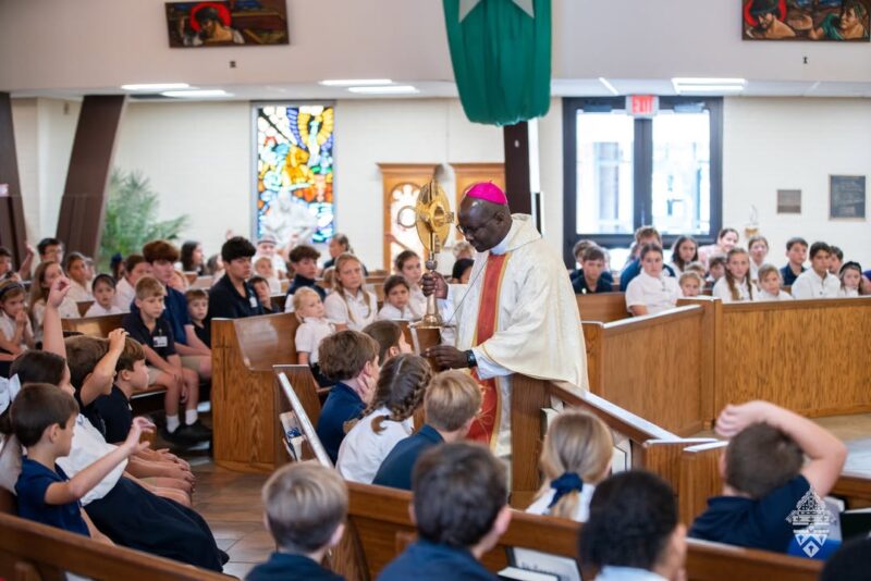 fb-695846880481318_830028089659288