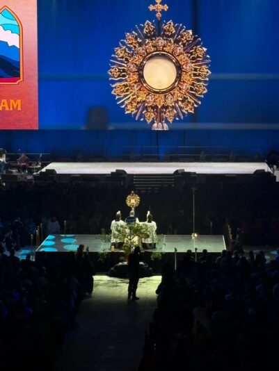 fb-355703527834405_1309463661224436