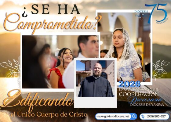 fb-171655892889402_1270463365104929