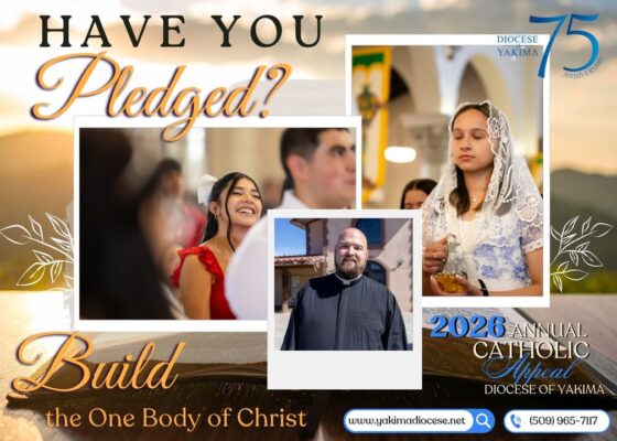 fb-171655892889402_1270463585104907