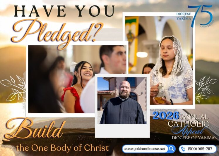 fb-171655892889402_1270463585104907