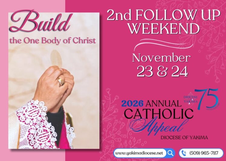 fb-171655892889402_1269662698518329