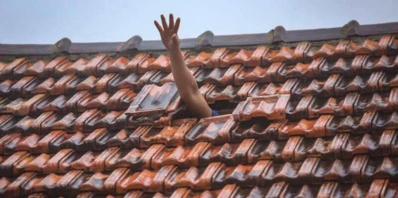 fb-122977574543611_1181766860727456