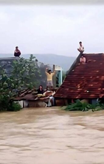 fb-122977574543611_1181766860727456