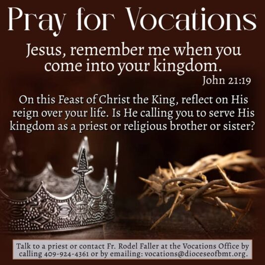 fb-147325878647167_1261313732701227