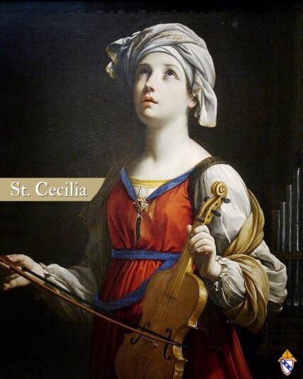 fb-168358359553_1199538158943289