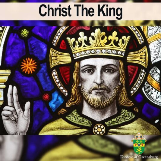 fb-178070992226049_1289105729919377