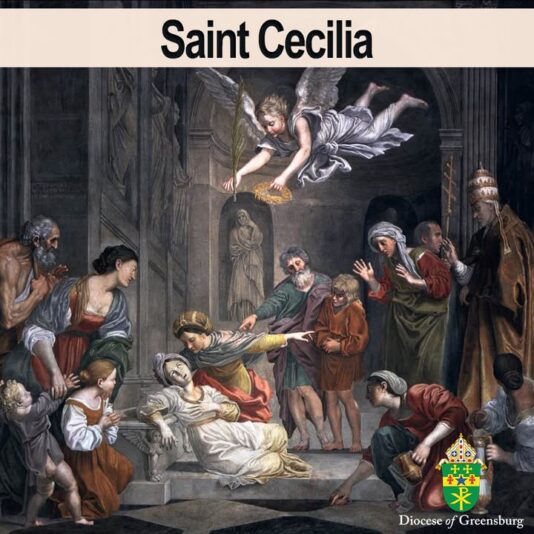 fb-178070992226049_1288336999996250