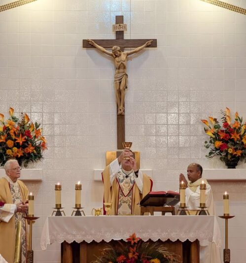 fb-147325878647167_1260981396067794