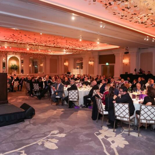 fb-252749634836353_1154957930147693