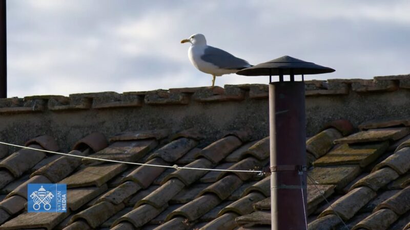 fb-1407235966182611_1003337375276965