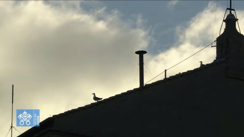 fb-1407235966182611_1003337375276965