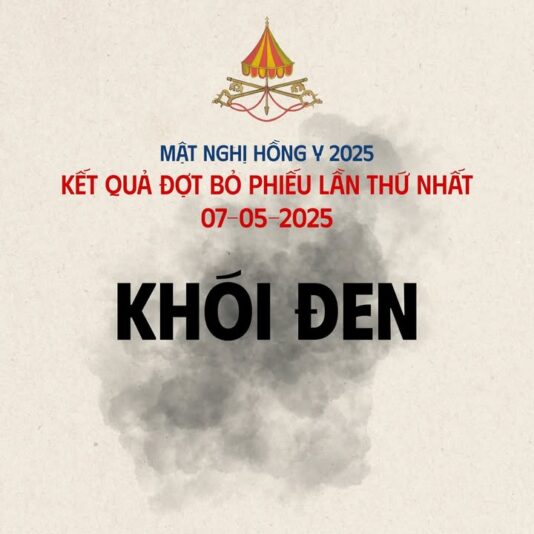 fb-356526171666570_995532855902575