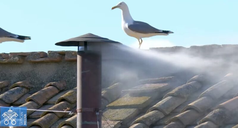 fb-1669188376658004_1297685305691129