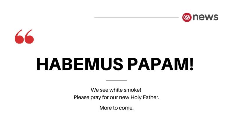 fb-1669188376658004_1297685305691129