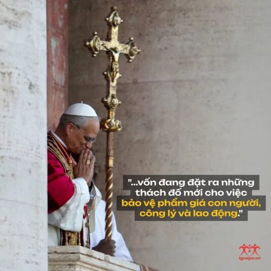 fb-1407235966182611_1005313351746034