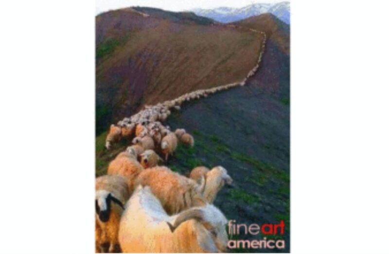 fb-356526171666570_998386738950520