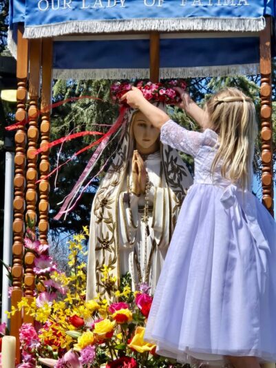 fb-355703527834405_1145084700995667