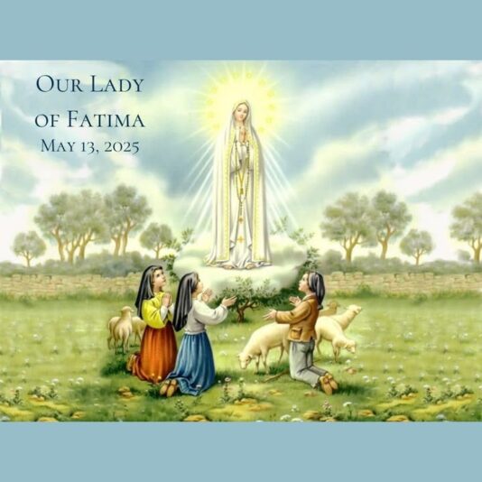 fb-1669188376658004_1301864591939867