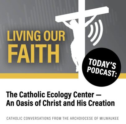 fb-355703527834405_1147778710726266