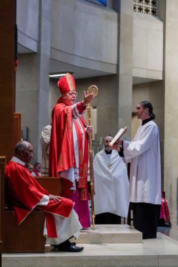 fb-424801330909662_1122030649950611