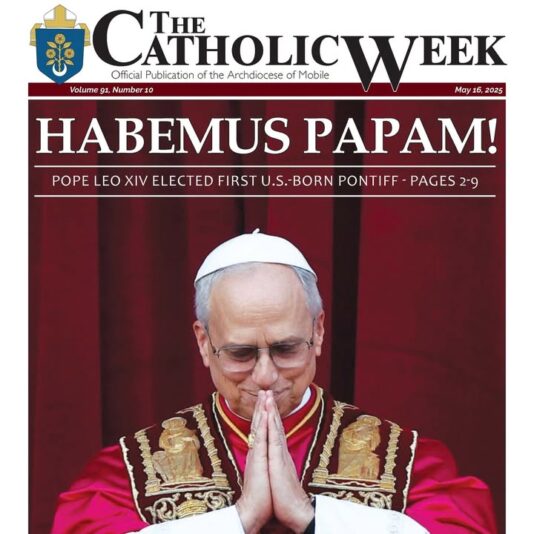 fb-1669188376658004_1305164208276572