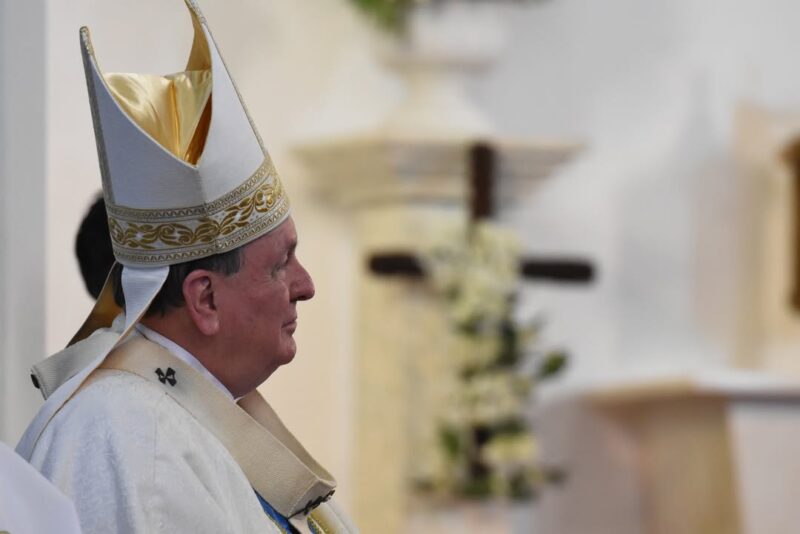 fb-1669188376658004_1306903214769338