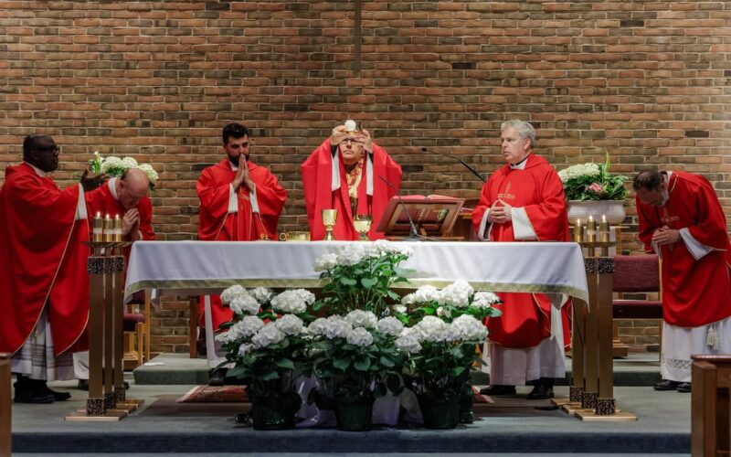 fb-424801330909662_1125192919634384