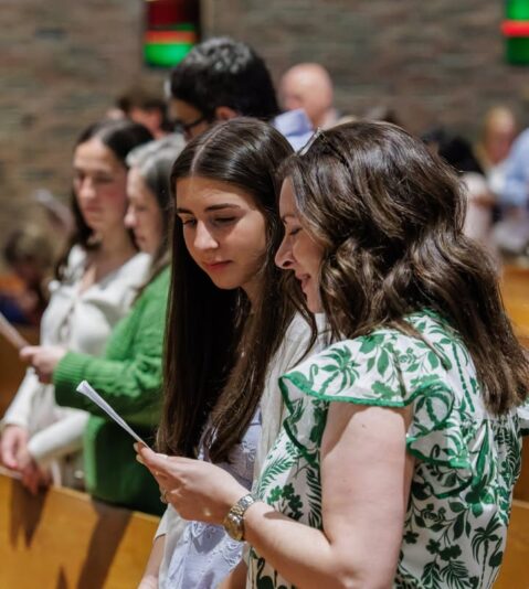 fb-424801330909662_1125192919634384