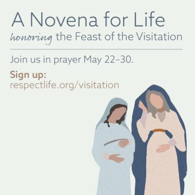 fb-116343758405910_1117621740395399