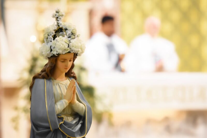 fb-1669188376658004_1309914091134917