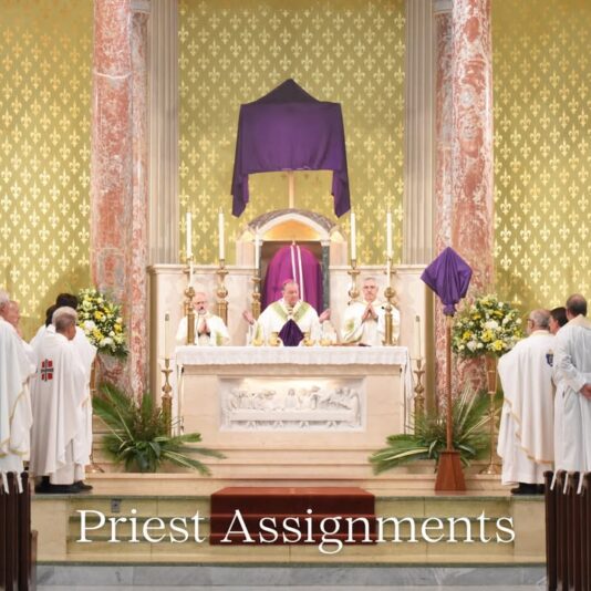 fb-1669188376658004_1310583381067988