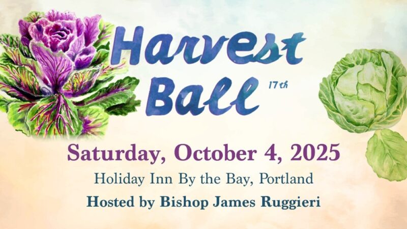 fb-116343758405910_1119396653551241