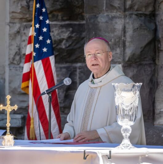 fb-355703527834405_1156393923198078