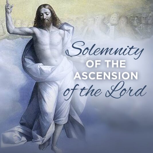 fb-116343758405910_1122948046529435