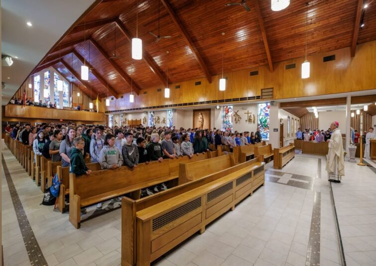 fb-424801330909662_1132089122278097