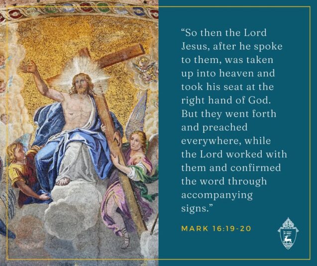 fb-424801330909662_1131968402290169