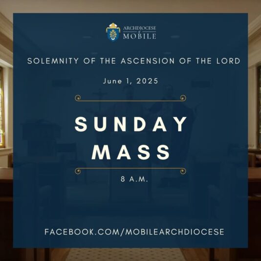 fb-1669188376658004_1317461693713490