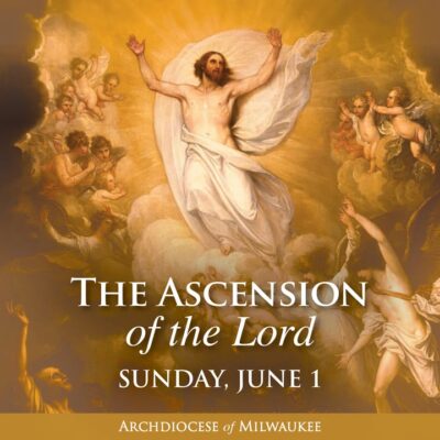 fb-355703527834405_1160062222831248