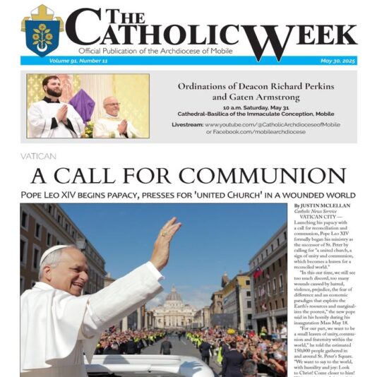 fb-1669188376658004_1319292580197068