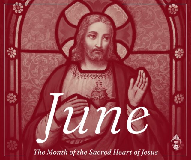 fb-424801330909662_1135721018581574