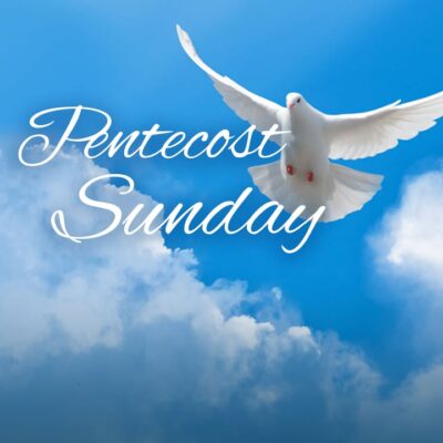 fb-116343758405910_1130849355739304